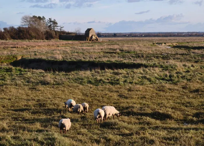 Σπίτι διακοπών Le St Germin'ay Saint-Germain-sur-Ay